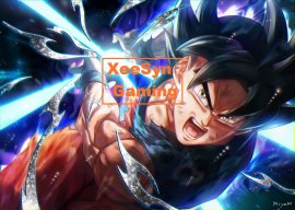 XeeSyn